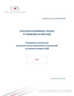 Evolution économique, sociale et financière du pays 2020 : Contribution commune des partenaires sociaux nationalement représentatifs au Semestre européen 2020